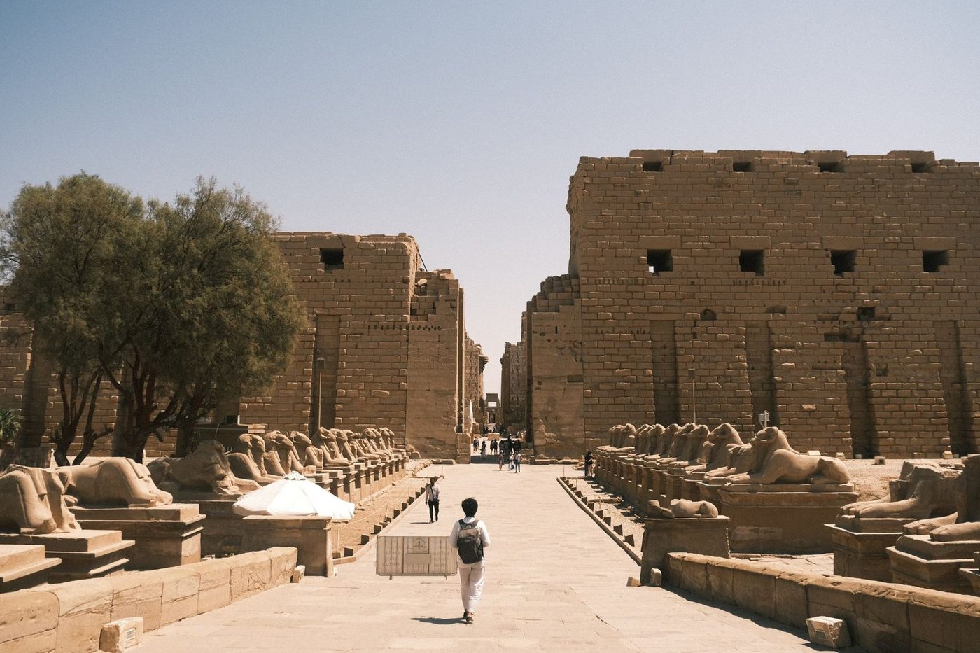 أعمدة بهو الأساطين الكبرى في معبد الكرنك بالأقصر