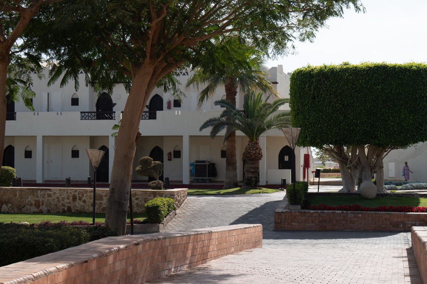 قنوات الجونة ومراسي القوارب